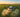 DJI Agras T25 agricultural spraying drone flying over a lush green farm in Australia.