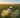 DJI Agras T25 agricultural spraying drone flying over a lush green farm in Australia.